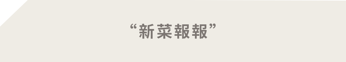 新菜報報